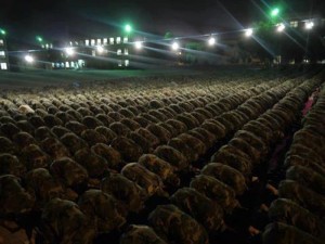 afghanistan_national_army_soldiers_praying_by_msnsam-d5b58jq