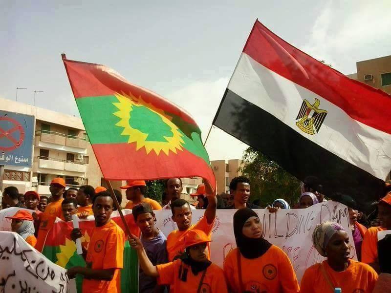 حقيقة صورة رفع علم مصر في مظاهرات في اثيوبيا .