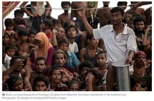 Rohingya 7