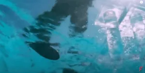 حقيقة فيديو لواحد مصري ماشي على المياه في إيطاليا